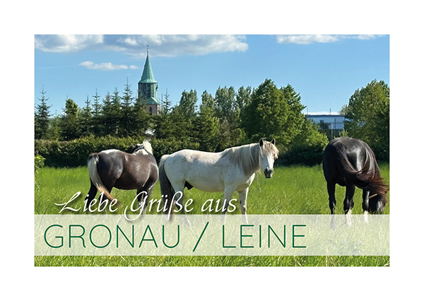 Postkarte mit dem Schriftzug Liebe Grüße aus Gronau / Leine und einem Bild von Pferden und der Kirche im Hintergrund
